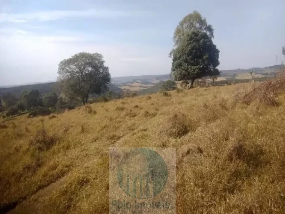 Imagem Sítio planta café 22,34 alqueires, terra vermelha, casa, água, galpão - Zona Rural - Biguatinga l de Minas Gerais