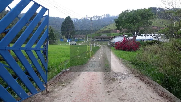 Imagem SÍTIO 8 ALQUEIRES / BAIRRO QUATINGA / IMÓVEL RURAL