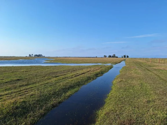 Imagem Excelente Área de 130 Hectares para Cultivo de Arroz – Viamão/RS