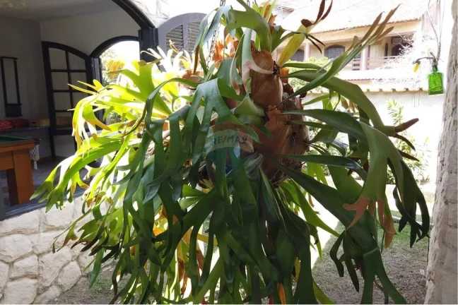 Imagem Casa com sete dormitórios e 4 banheiros em Itaúna,saquarema.