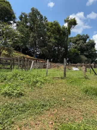 Imagem Terreno a venda