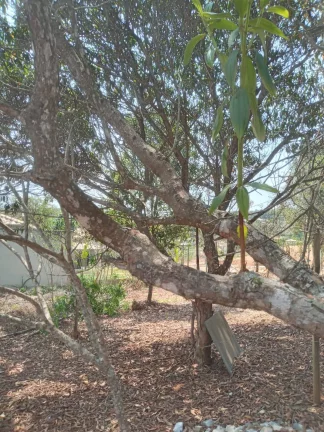 Imagem Chácara à Venda, 1.999 m² em Condomínio Estância Da Cachoeira - Brumadinho