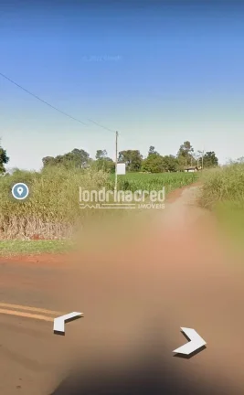 Imagem Chácara à venda 40000M², Zona Rural, Warta - PR