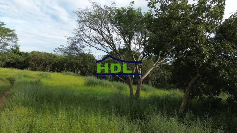 Imagem Fazenda 10 Alqs dupla aptidão em Hidrolândia