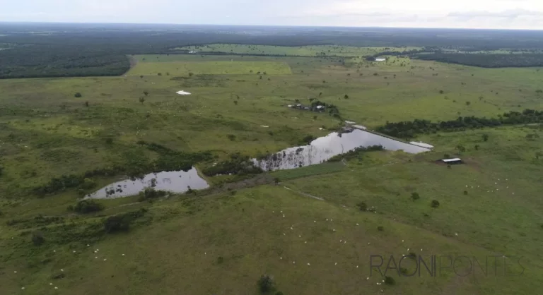 Fazenda à Venda, 13.360.000 m² em Zona Rural - Santa Rita Do Tocantins