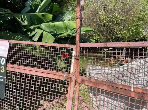 Imagem Terreno à venda Osvaldo Cruz, São Caetano do Sul - SP