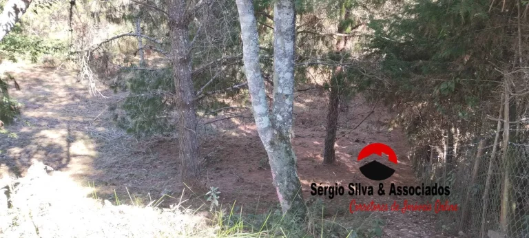 Imagem Terreno a Venda na Região do Alto da Boa Vista Campos do Jordão -SP.