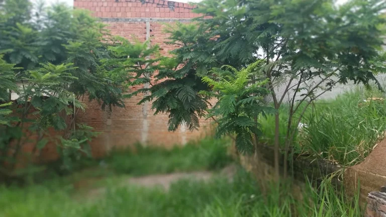 Imagem TERRENO SUPER BARATO COM ESCRITURA NO BOM JARDIM - GUARATINGUETÁ