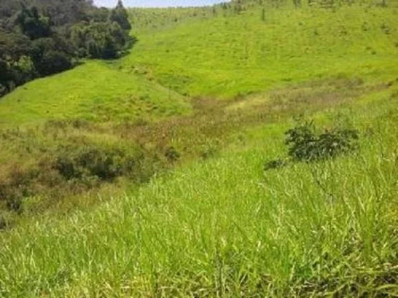 Imagem Área à venda, 992000 m² - Baruel - Suzano/SP