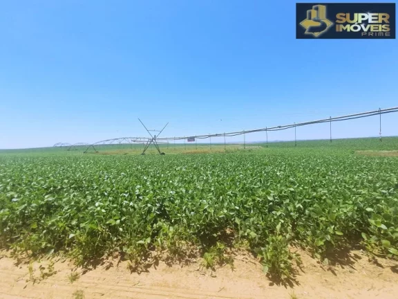 Imagem Fazenda de Excelência no RS 2.100 hectares Cachoeira do Sul