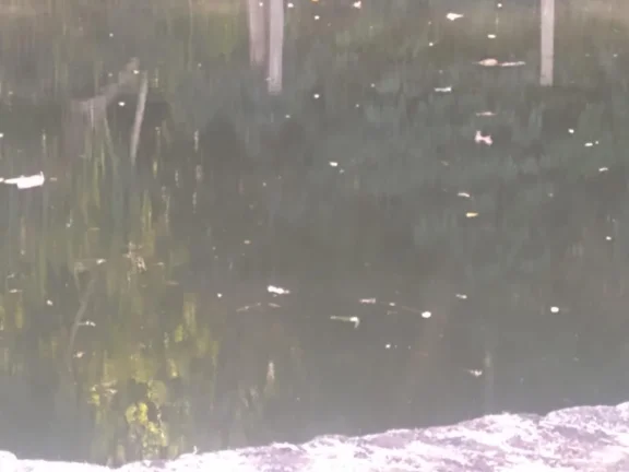 Imagem Sítio para Venda em Tuiuti, Rural, 3 dormitórios, 1 suíte, 4 banheiros, 10 vagas