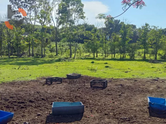 Imagem Sítio com 1 dormitório à venda, 36480 m² por R$ 3.000.000,00 - Santa Rosa - Queimados/RJ