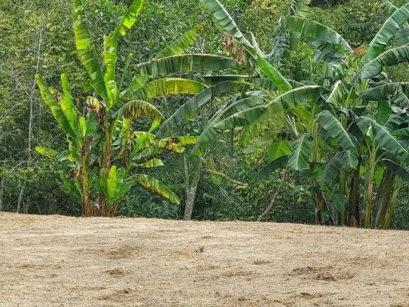 Imagem Terreno no Rancho Maringá - Oportunidade para Criar sua Chácara dos Sonhos