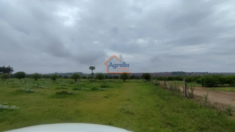Imagem Sítio à venda no bairro PITEIRAS - Mogi Mirim/SP