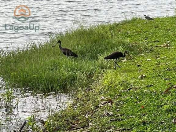 Imagem Terreno à venda, 390 m² por R$ 360.000,00 - Joá - Lagoa Santa/MG