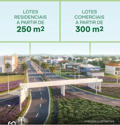 Imagem Lote para Venda em Teresina, BR 343