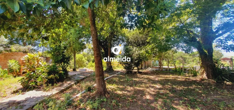 Imagem Terreno à venda Tomazetti Santa Maria/RS