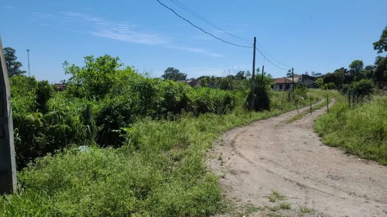 Imagem Área à venda, 15000 m² por R$ 4.530.000,00 - Caxangá - Suzano/SP