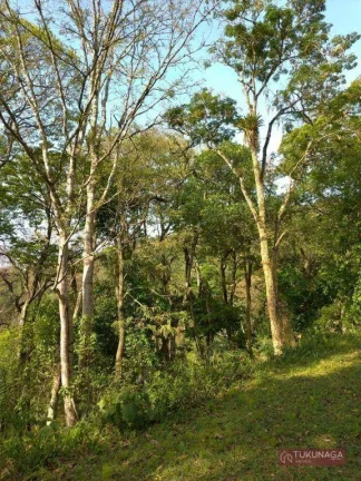 Imagem Chácara com 2 quartos à venda, 11000 m² por R$ 580.000 - Marmelo - Mairiporã/SP