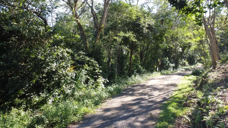 Imagem Terreno à venda no Siriú, Garopaba (SC), com 700m², leve declive e vista para o mar. A apenas 2km da praia, com água, luz e possibilidade de regulariz