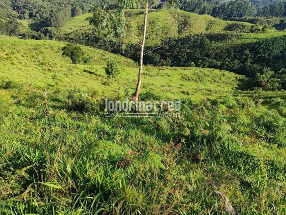 Imagem Chácara à venda 744000M², Zona Rural, Castro - PR