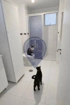 Imagem Apartamento à venda em Pinheiros, São Paulo-SP: 2 quartos, 2 salas, 1 banheiro, 1 vaga de garagem e 70,00 m² de área.