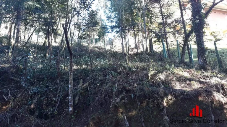 Imagem Terreno a Venda na Região do Capivari em Campos do Jordão - SP