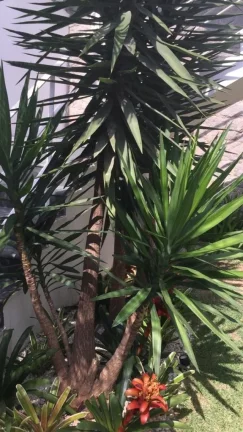 Imagem Ótima casa no Pacaembu
