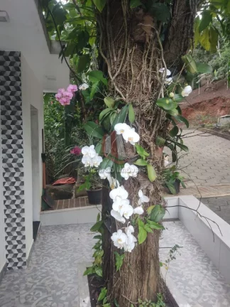 Imagem Casa Contemporânea Rio das Ostras à Venda