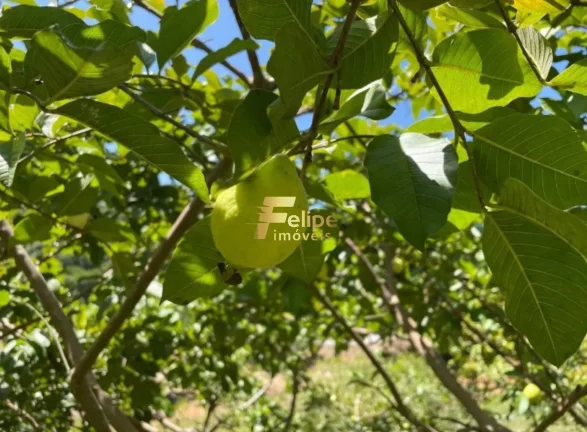 Imagem EXCELENTE TERRENO COM 1.200 m2 DE ÁREA E 700 m2 DE PLATÔ, À VENDA EM CONDOMÍNIO FECHADO, EM DOMINGOS MARTINS/ES!