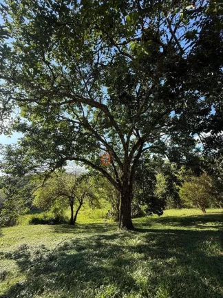 Imagem Chácara com 3 dormitórios à venda, 19000 m² por R$ 650.000 - Jardim - Extrema/MG