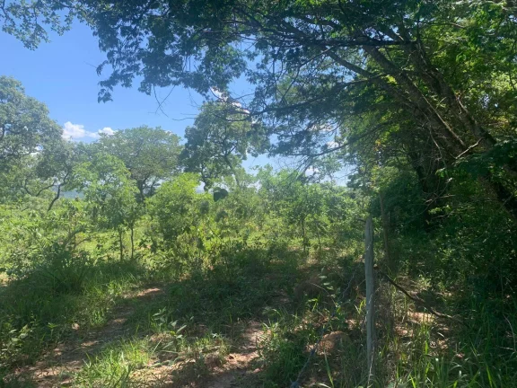 Imagem ÁREA DE 2 HECTARES , EM JUATUBA! IDEAL PARA CONSTRUTORES.