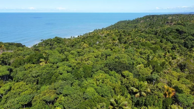Imagem Paradisíaca Serra Grande