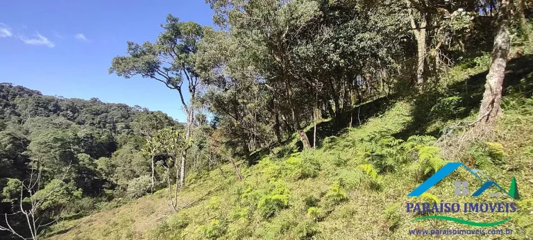 Imagem Terreno Rural na Serra da Mantiqueira | Sertão do Cantagalo