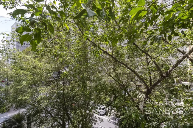 Imagem Jd. Paulista Venda - 3 Dormitórios (1 Suíte) - 1 Vaga- 115m² - Reformado