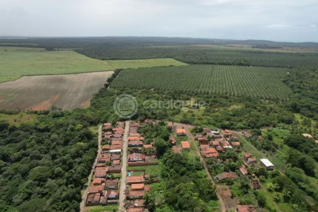 Imagem Área à Venda – Nísia Floresta / RN - 12,1 Ha