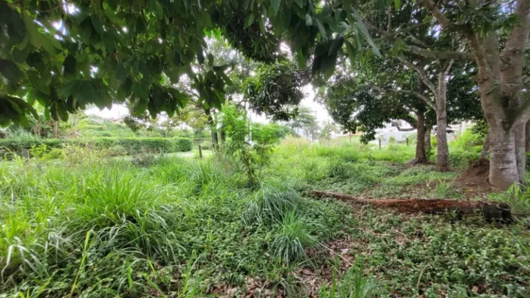 Imagem TERRENO RESIDENCIAL em SERRA - ES, ENSEADA DE JACARAÍPE