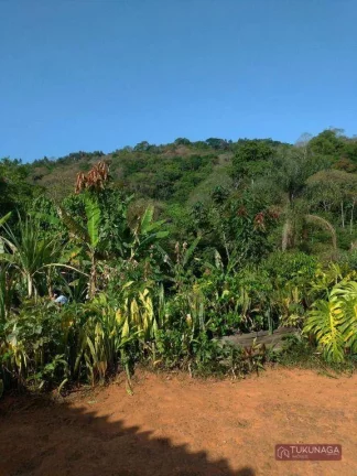 Imagem Chácara com 2 quartos à venda, 11000 m² por R$ 580.000 - Marmelo - Mairiporã/SP