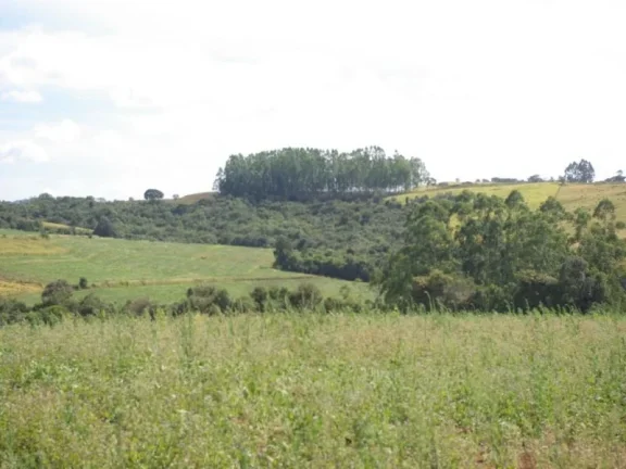 Imagem SÍTIO À VENDA 43,56 HECTARES R$ 1.900.000 - ZONA RURAL - JACUI/MG