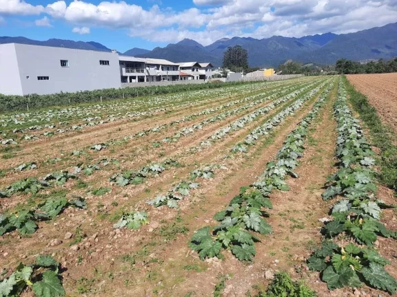 Imagem Terreno à Venda, Plano, Nível da Rua, com 11.089 m2. Sul do Rio, Santo Amaro da Imperatriz, SC