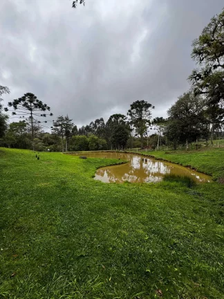 Imagem Chácara com 15.000 m² em Salto do Engenho | Campo Alegre/SC