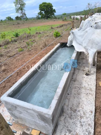 Imagem Fazenda à venda em Mineiros-GO: 150,00 alqueires na Área Rural de Mineiros