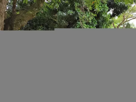 Imagem vende - sítio na região de Cabreúva-sp