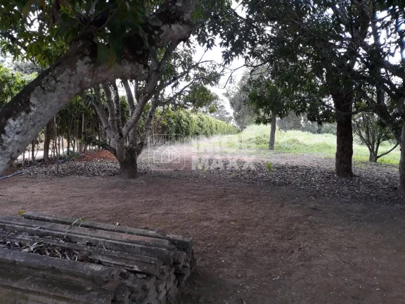 Imagem Chácara formada, excelente oportunidade, margem Rio Maranhão, pomar, em Planaltina DF.