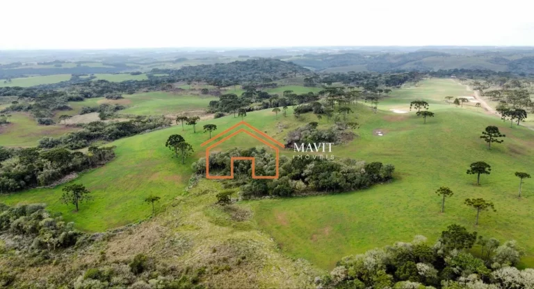 Imagem FAZENDA RURAL em CERRO NEGRO - SC, Interior