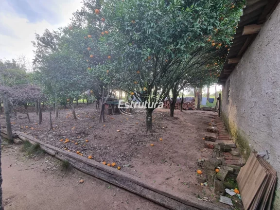 Imagem Chácara com 3 residências a poucos metros da cidade