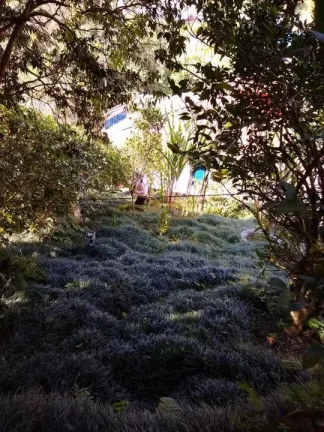 Imagem Casa para Venda em Teresópolis / RJ no bairro Albuquerque