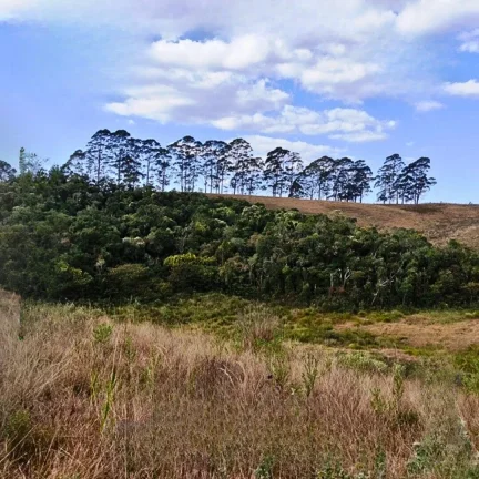 Imagem O Ápice da Mantiqueira: 484.000 m² com Vista 360°, Cachoeira Privativa e Altitude de 1.785m em Campos do Jordão