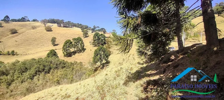 Imagem Conecte-se à Natureza: Terreno Rural com Nascente e Vista Panorâmica!