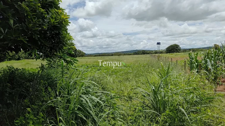 Imagem Terreno à venda no bairro Nova Fátima - Hidrolândia/GO